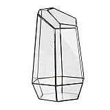 Baoblaze プロパゲータ　マイクロ風景　グラス　テラリウム　ミニチュア　ガーデン　ジオメトリ