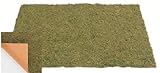 タカショー 【観葉植物・グリーンデコ和風】 苔マット 60×90cm GN-47