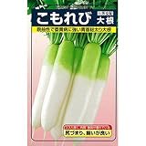 大根 種 こもれび 小袋（約20ml)