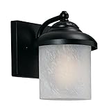 Sea Gull Lighting 89048BLE-12 Outdoor Sconce with Swirled Marbleize?Glass Shades, Black Finish [並行輸入