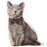 TOMMYFIELD ポメラニアン ぬいぐるみ グッズ 犬ぬいぐるみ リアル 癒し ふわふわ 3D (ポメラニアン) [並行輸入品]