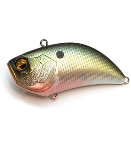 Amazon | レイドジャパン(Raid Japan) G.I (ジーアイ グラビティ