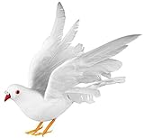 ホワイトdove.サイズ6.5 "
