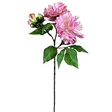 ピオニースプレーX5 FXFM0007LAV