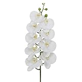 造花　胡蝶蘭　L95cm　白+イエロー　フラワー　A46　1本