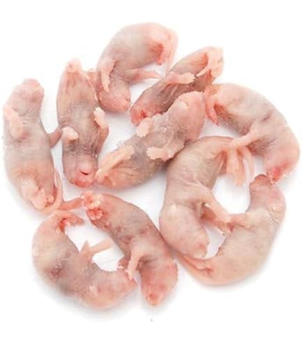 Amazon | 国産冷凍マウス (ピンクマウス S /2g 10匹入り) 爬虫類