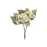 MAGIQ 東京堂 上質な 造花 パステルアキレアピック(3本入り) CR/WH FM009407-001