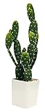 萩原 人工観葉植物 「バニー 」 約60cm 光触媒加工 159016300