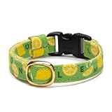 ぽぽねこ グラフィック猫首輪 セイフティーバックル・鈴付き・ハゲにくい・日本製 (夏のフルーツ レモン, M)