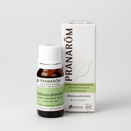 アロマオイルの種類を知ろう 精油の特徴 種類 Feely フィーリー