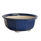 信楽焼植木鉢 生子十角中浅鉢 7号 3個入り／アウトレット数量限定品