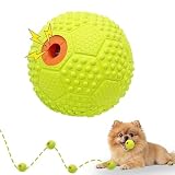 LaRoo犬のおもちゃボール、犬のサウンドボール、ソフトボール、サッカー、ラグビー、子犬、ミディアムドッグ、大型犬のおもちゃ。
