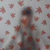 Generic 50*90Cm Maple Leaf Frosted Opaque Privacy Office Study Bath Bathroom Bedroom Self Adhesive D