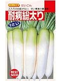 ダイコン　 耐病総太り タキイ交配 タキイのダイコン種です　　（グリーンデポ）