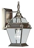 Livex Lighting 2627-29 Outdoor Wall Lantern with Clear Beveled Glass Shades, Vintage Pewter [並行輸入品]
