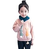 幼児キッズかわいい漫画ウサギロングスリーブ幸運な太陽トップウォームブラウスプルオーバーセータースウェットシャツ (66, ピンク)