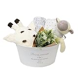 ギフトセット ベビー ギフト 出産祝い 男の子 女の子 おくるみ 編みぐるみ ニット帽 おむつ ブーケ 6点セット ベビーバスケット Baby Basket (Lサイズ / ユニセックス)