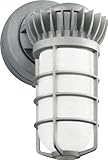 RAB VXBRLED13YDG Vapor Proof LED Outdoor Sconce [並行輸入品]