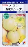 【種子】メロン　かわい～ナ　約9粒