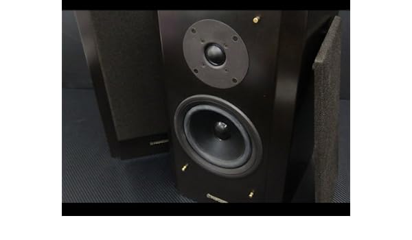 small pioneer speakers