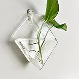 AWHAO 花 観葉植物 ガラス容器 水耕ポット壁掛け　プレゼント 雑貨 飾り 2セット吊り容器 装飾工芸品 室内園芸用品 花 観葉植物 ガラス容器 吊り水耕ポット D