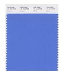 PANTONE SMART 17-4041X Color Swatch Card, Marina by Pantone