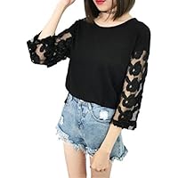 amuon (アミュオン) トップス シャツ レース ブラウス 刺繍 レディース