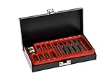 Bovidix 5490315 Star Bit Set, 3/8-inch Shanks, 15 Piece [並行輸入品]