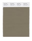 PANTONE SMART 18-0617X Color Swatch Card, Covert Green [並行輸入品]