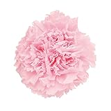 Florever   プリザーブドフラワー  フレッシュルックスタンダードカーネーション (6輪入り) ミルキーピンク FL001100-030
