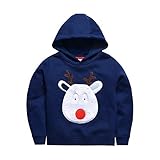 LOSORN ZPY SWEATER ベビー・ボーイズ カラー: ブルー