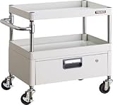 ＴＲＵＳＣＯ　フェニックスワゴン　６００Ｘ４００ＸＨ６００　１段引出付　ＹＧ色【PEW662VYG】 (販売単位：1台)