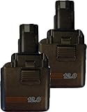 Craftsman 12 V交換用バッテリー( 2パック) # 981078001