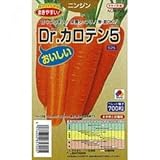 にんじん 種 Dr.カロテン5 L1万粒