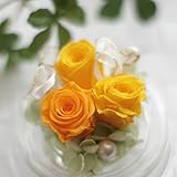 プリザーブドフラワー ギフト ポエム（イエロー）