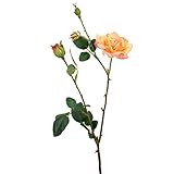 ローズスプレーX3(M) FXFR0009PE