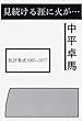 見続ける涯に火が・・・ 批評集成1965-1977