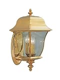 Designers Fountain 1552-PVD-PB Gladiator Wall Lanterns, Brass Treated Polish [並行輸入品]