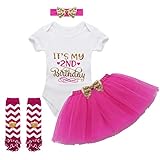 （イーエフイー）EFE 2歳祝い ベビーチュチュ+ロンパース+ヘアバンド+レッグウォーマー 上下セット 4点セット 半袖 ロンパース フリル ベビー スカート パニエ 上下 Ｔシャツ gift ローズ