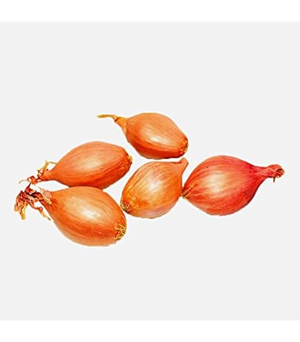 Amazon.co.jp: アメリカ産他 エシャロット 約1kg （袋つめ） : 食品