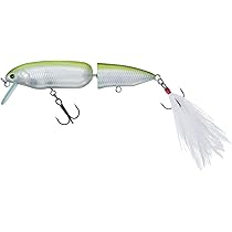 41p50bb-ZxL._AC_UL210_SR210,