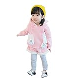 ベビー服 女の子上下セット 子供服 Pojour ブラウス＋スカッツ 可愛い手 裏毛 長袖ドレス オシャレ 秋 綿 通園 発表会 旅行 記念日 プレゼント　ピンク