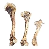 ペットフード研究所 【 国産 無添加 】 小型犬 中型犬 大型犬 鹿レッグボーン 足骨 グルテンフリー 鹿骨 犬のおやつ 犬用 (ランダム3本セット)