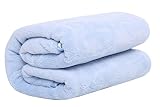 wztee Soft Coral Fleece Towelling Coverlet Nap Blanket Baby Blanket Blue by WZT