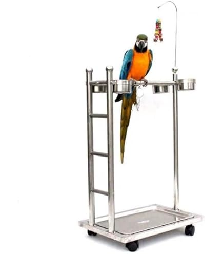 Amazon | STARTIST オウム止まり木 おもちゃ 高さ調節可能 バード