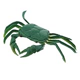 F Fityle 海洋動物　おもちゃ　プラスチック　モデル　置物 - グリーンスモールクラブ