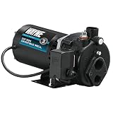 WAYNE CWS100 1 HP Cast Iron Convertible Well Jet Pump for Wells up to 90 ft. [並行輸入品]