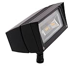 RAB Lighting FFLED18 Future Flood 18W Cool LED 120V to 277V Lamp, Bronze [並行輸入品]