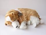 ニニアンドキノ パーフェクトペット (小サイズ) シェルティ (コリー) ぬいぐるみ 犬 いぬ イヌ リアル 本物 そっくり 雑貨 動物 アニマル 癒し 動く プレゼント ギフト お祝い かわいい 犬のぬいぐるみ