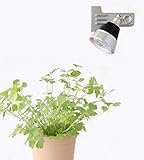 LED Plant Light ５W 植物育成使用　クリップタイプ 水耕栽培 家庭菜園 水草栽培 観葉植物 花 胡蝶蘭